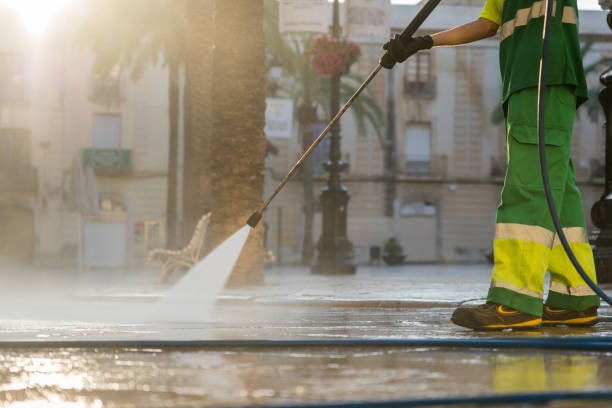 Best Gutter Cleaning  in Grandville, MI